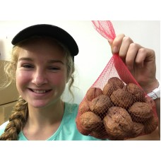 SPRAY FREE WALNUTS  500 Gram Bag Katikati Grown